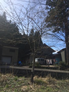 全体